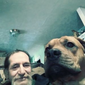 Meet your Posher, Joe